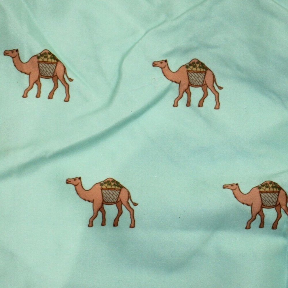 Men's Swim Trunks 4 Pocket Drawstring Green Camel Design Extra Large - Picture 3 of 4
